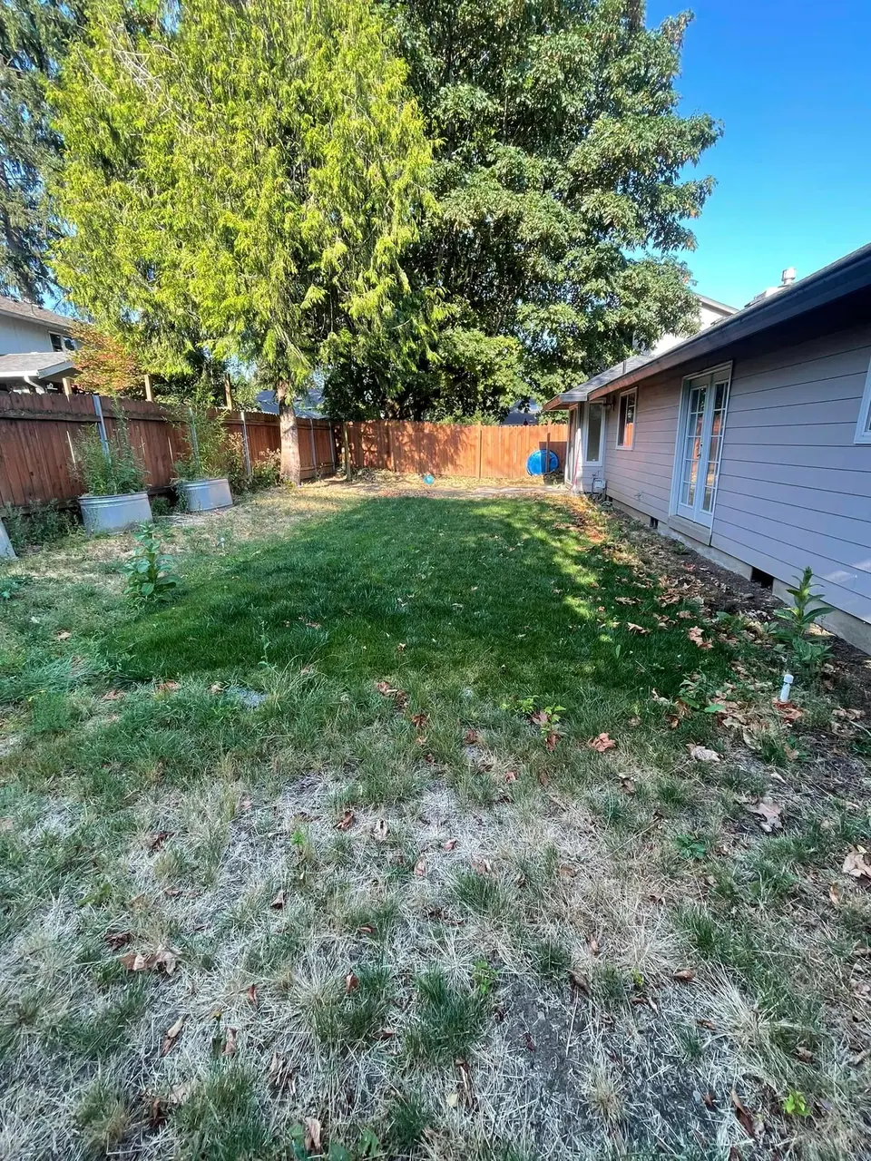 Backyard lawn and garden bed at a single-story Clark County home