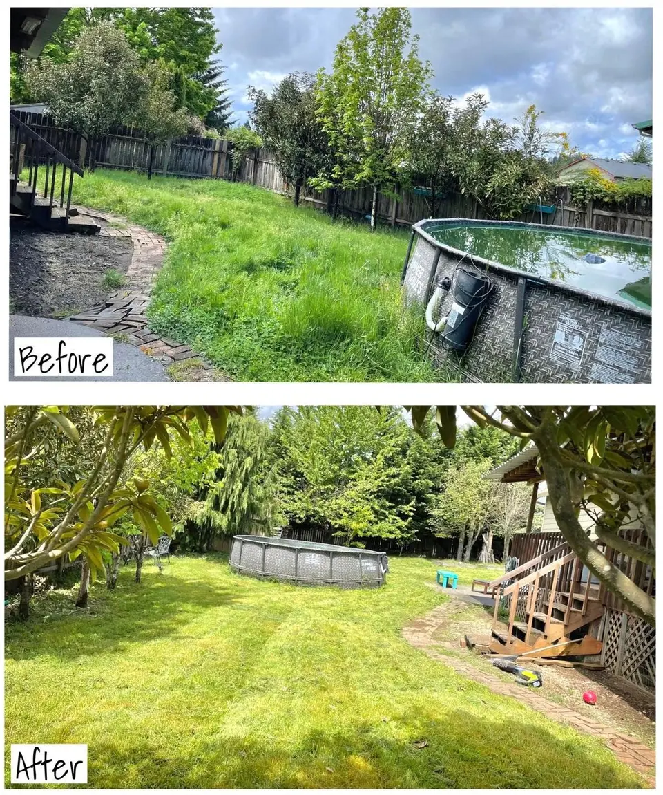 Before and after of a backyard pond and surrounding landscape renovation