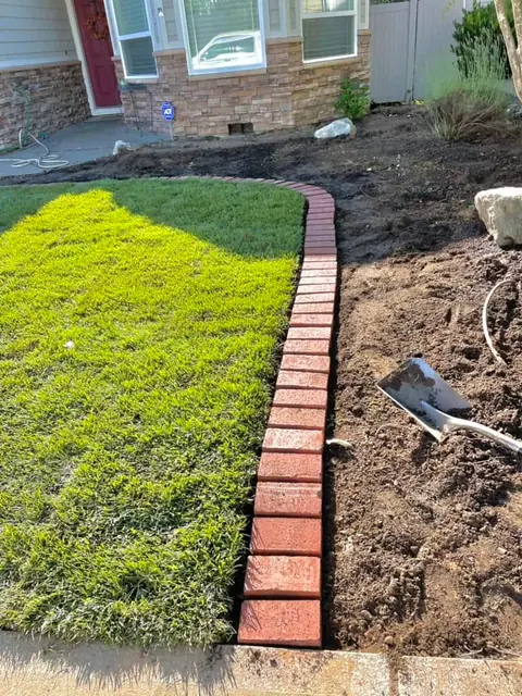 Brick paver edging separating fresh sod from a planting bed
