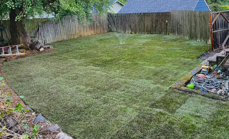 Established backyard lawn enclosed by a cedar fence