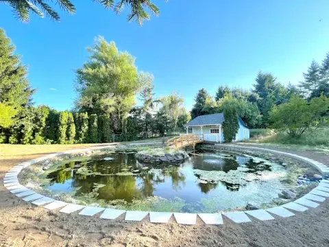 Large formal pond with a stone paver border and water lilies